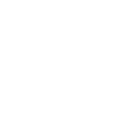 Fastenal Company Share Price